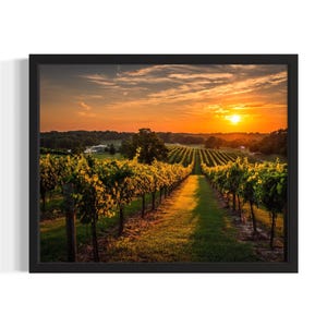 Illinois Country Vinyard States Art Print, woonkamer muurkunstposter, origineel schilderij artwork decor