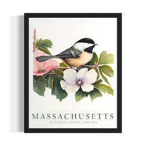 Massachusetts Bird States Poster Art Print, woonkamer muurkunstposter, origineel schilderij artwork decor