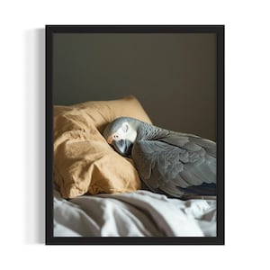 Parrot Bird Bedroom Poster Art Print, Bedroom Wall Art Poster, Original Painting Artwork Decor