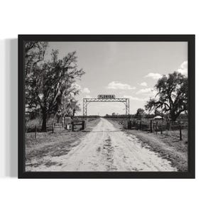 Florida Cowboy Ranch States Art Print, woonkamer muurkunstposter, origineel schilderij artwork decor