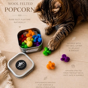 Catnip-Infused Felted Wool Rainbow Popcorn: Purrfect Playtime Delight!