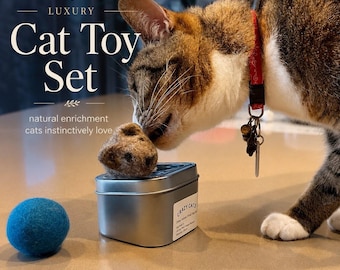 Felted Wool Cat Toy Set – Catnip Mouse, Ball, Refillable Tin, Natural Enrichment