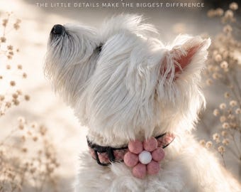 Felted Wool Flower Collar Accessory: Handmade Pet Fashion