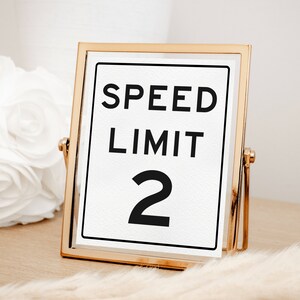 Editable Speed Limit Sign, Race Car Birthday Party Sign 8x10" Table Sign, Two Fast 2 Curious, Printable Custom Speed Limit, Digital Download