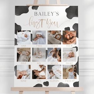 Holy Cow I'm One Photo Milestones Sign, Editable Template, Baby's 1st Year Picture, Farm Cow Party 12 Months Photo Collage, Digital Download