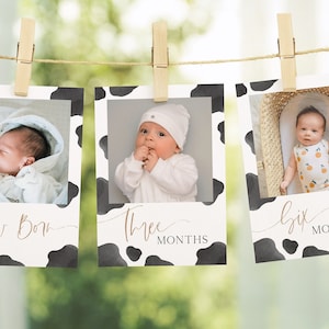 Holy Cow Birthday 12 Months Photo Banner, Editable Template, Holy Cow I&#39;m One Gender Neutral B&#39;day Party Monthly Banner, Digital Download