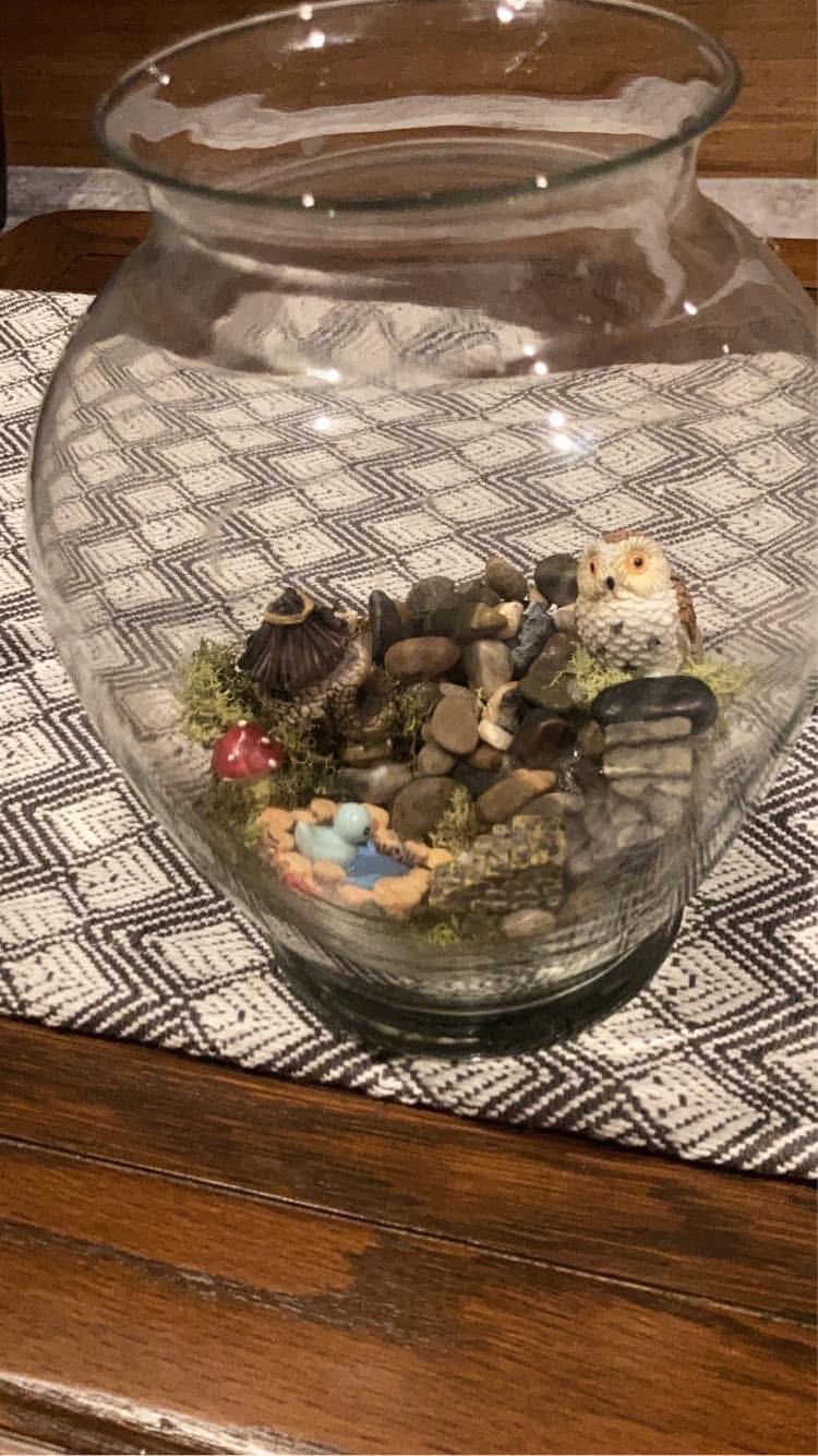 The Wise Owl terrarium