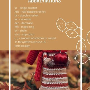 Puede incluir: Una mu&ntilde;eca de crochet con un su&eacute;ter rojo con capucha y un vestido a rayas, sosteniendo una manzana roja. La mu&ntilde;eca est&aacute; de pie sobre un lecho de hojas de oto&ntilde;o. La imagen incluye una lista de abreviaturas de crochet.