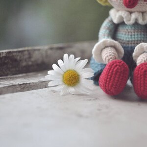 May include: A crocheted doll with a red nose and red shoes sits on a windowsill with a white daisy in front of it.