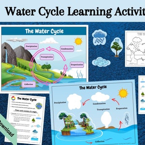 watercyclus Afdrukbare activiteit voor kinderen, eenheidsstudie watercyclus, voorschoolse wetenschap, matching game, natuurstudie, werkblad thuisonderwijs, digitaal