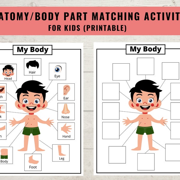 Body Parts Printable Activity For Kids, Human Body Printable Matching Game & Worksheet, Coloring page, Homeschool Preschool Digital Download