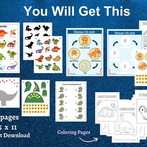 May include: A set of 22 printable dinosaur-themed educational worksheets for kids. The worksheets include coloring pages, life cycle diagrams, matching activities, and a dinosaur cut-and-paste activity. The worksheets are 8.5 inches by 11 inches.