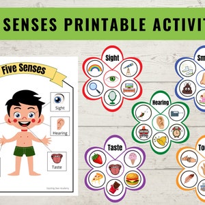 Five Senses Sorting Activity & Matching Game, 5 senses busy book Printable Worksheets, kids learning, Homeschool Resource, Preschool