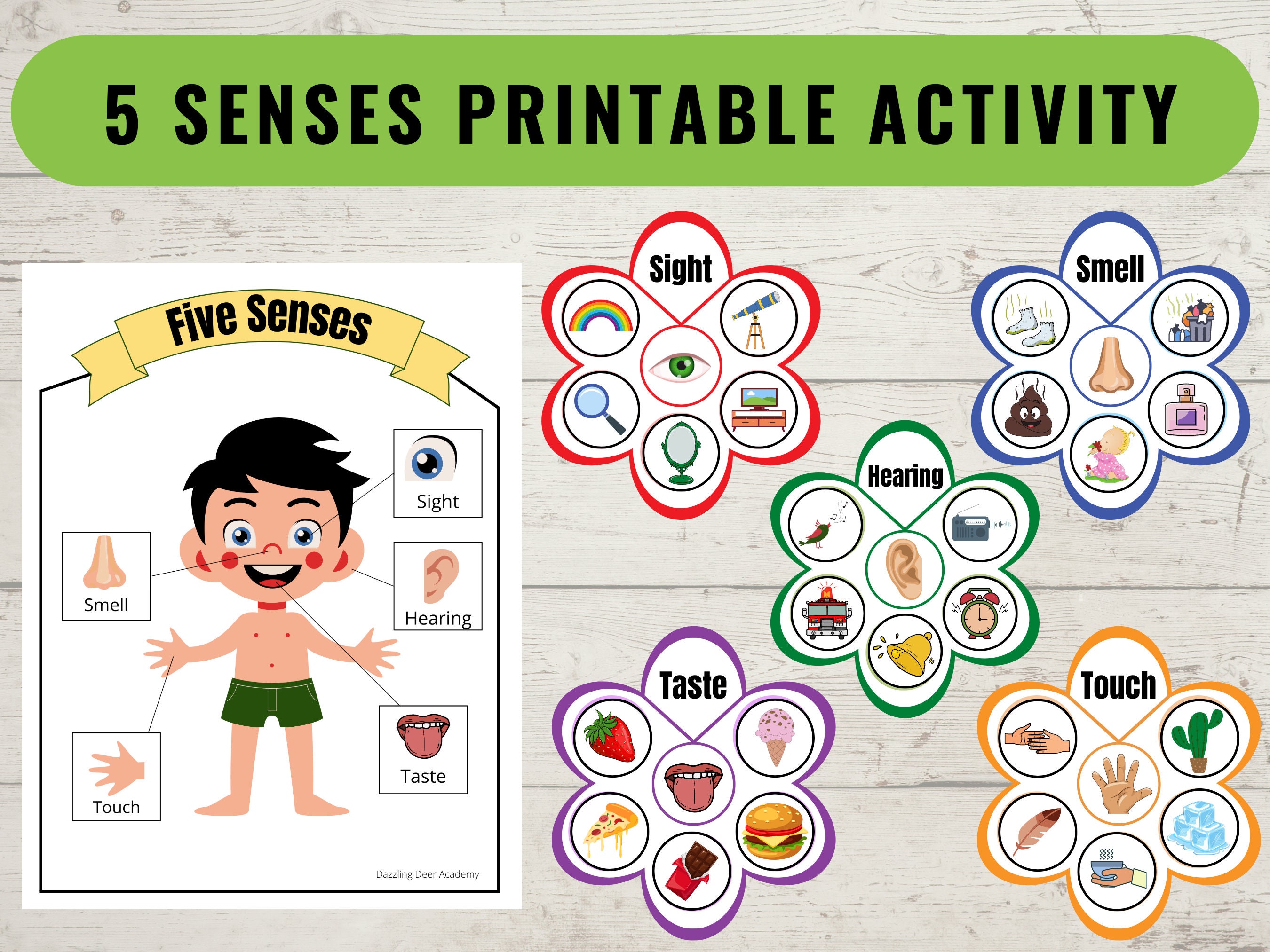 Five Senses Sorting Activity Matching Game 5 Senses Busy Book Printable Worksheets Kids Five Senses Sorting Activity Matching Game 5 Senses Busy Book Printable Worksheets Kids