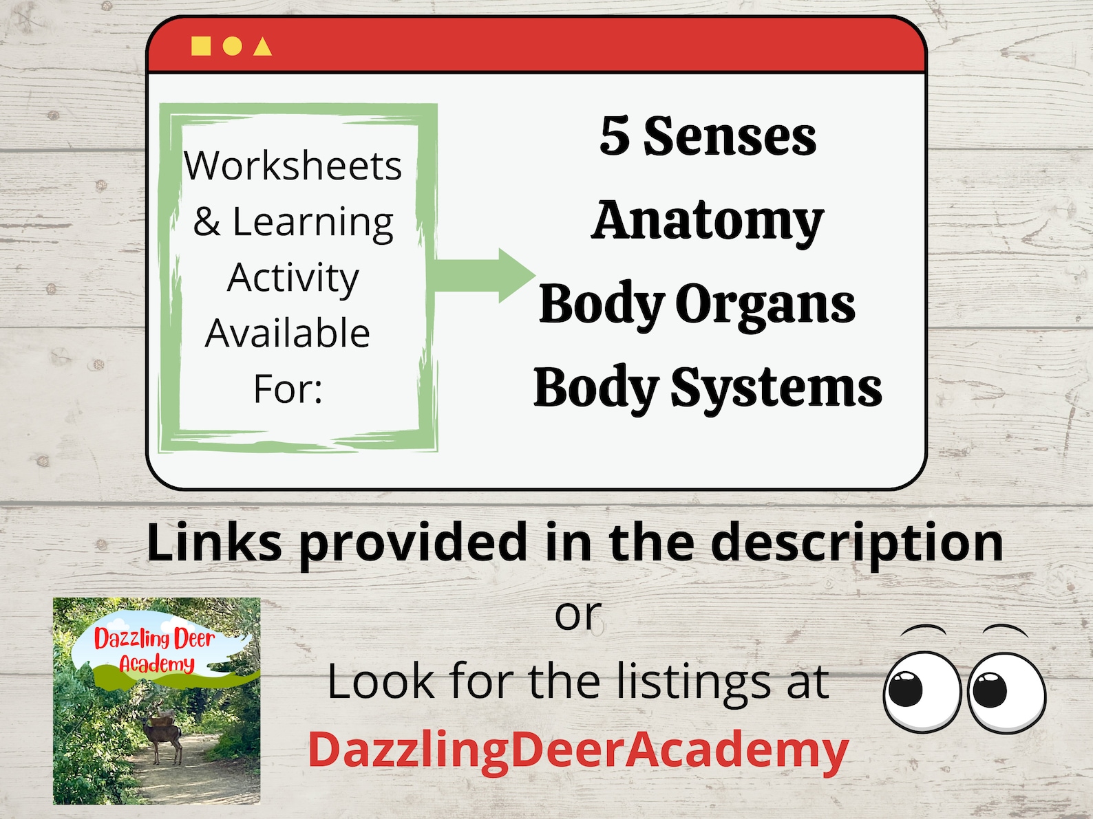 Body Parts Printable Activity for Kids, Human Body Printable Matching ...
