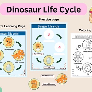 May include: A printable dinosaur life cycle worksheet with three pages: a control learning page, a practice page, and a coloring page. The control learning page shows a dinosaur egg, a hatching egg, a young dinosaur, and an adult dinosaur. The practice page has a similar cycle with numbers 3 and 4 in the circles. The coloring page is a black and white outline of the dinosaur life cycle.