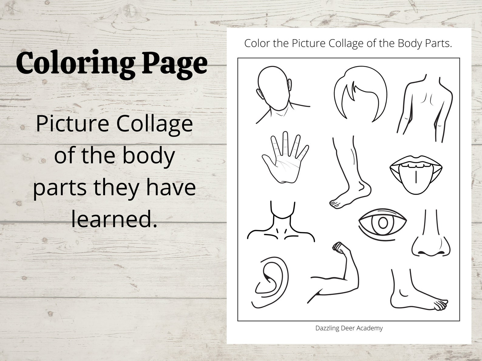 Body Parts Printable Activity for Kids, Human Body Printable Matching ...
