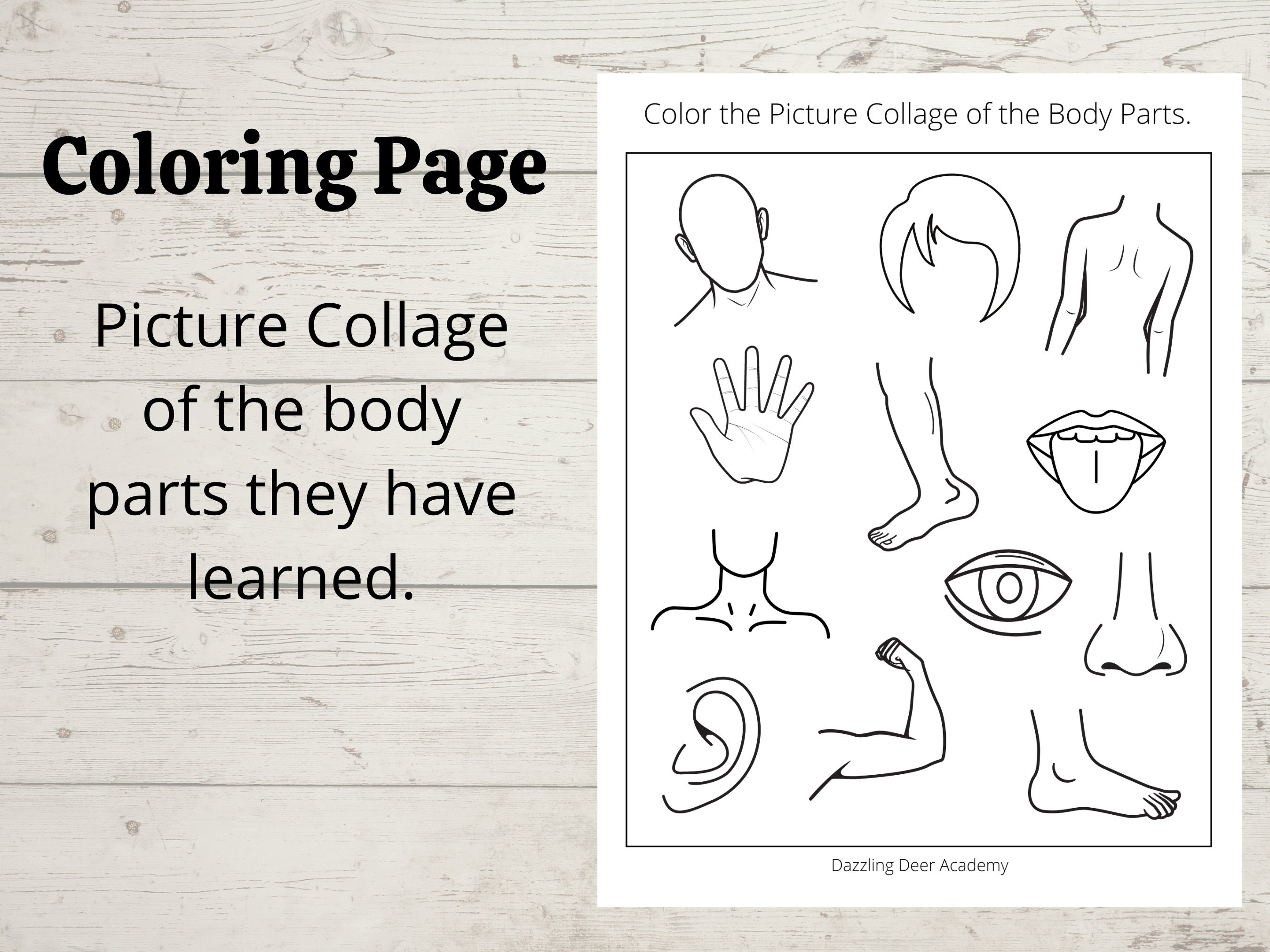 body-parts-printable-activity-for-kids-human-body-printable-matching