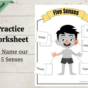Five Senses Sorting Activity & Matching Game, 5 Senses Busy Book ...