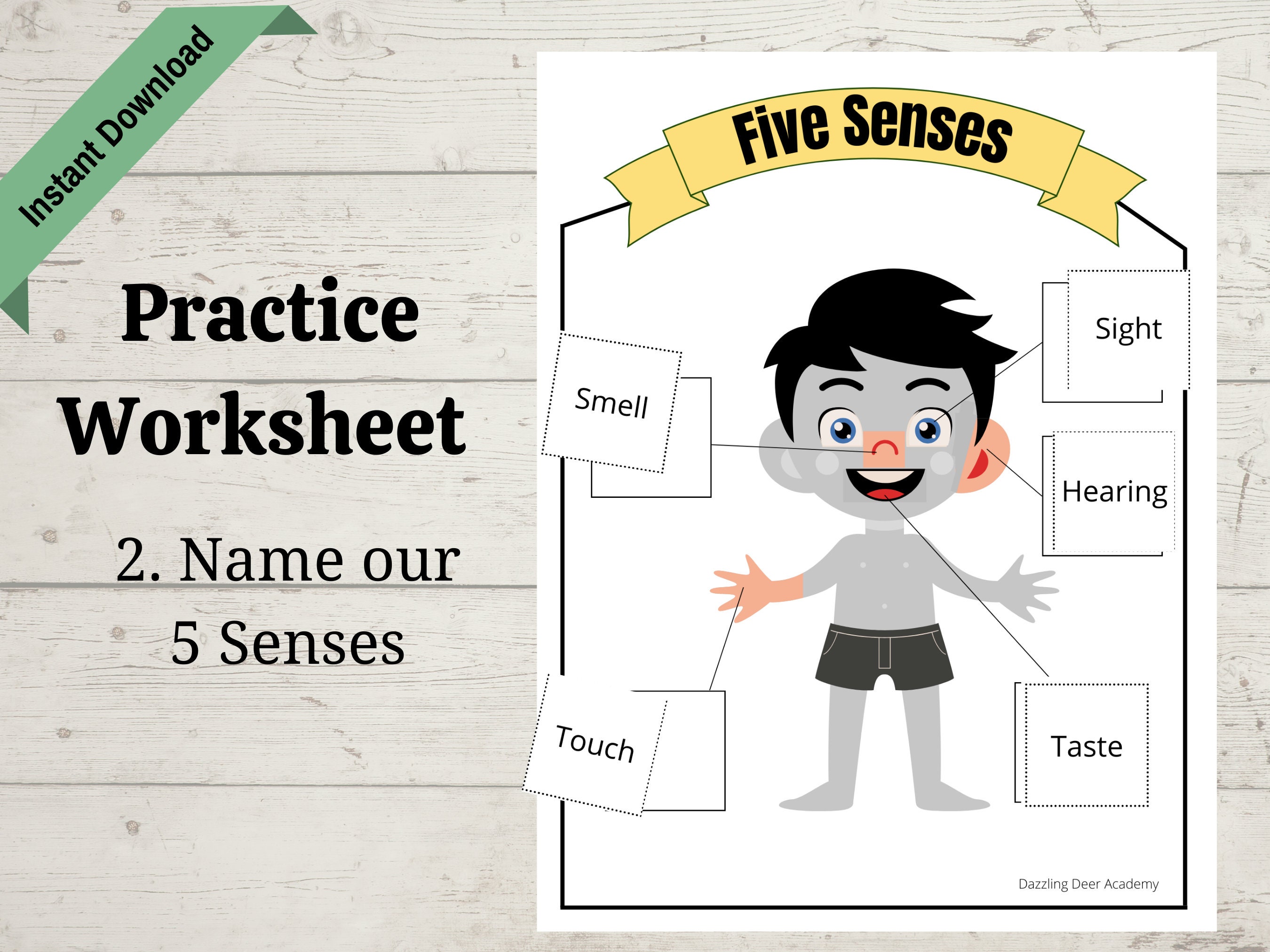 Five Senses Sorting Activity & Matching Game, 5 Senses Busy Book ...