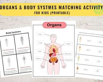 Atividade de aprendizagem de órgãos e sistemas corporais, planilha de anatomia humana para crianças, jogo de correspondência, jardim de infância pré-escolar em casa, download de dígitos