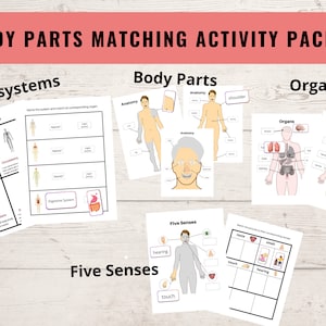 Body parts matching activity, Organs, Body systems, 5 senses, Human anatomy worksheets, Kids learning activity, Printable, Kindergarten