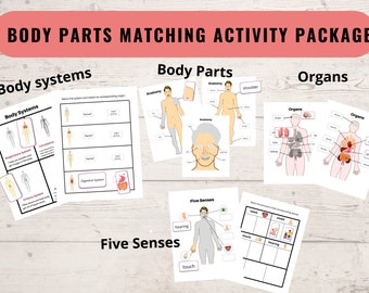 Körperteile-Matching-Aktivität, Organe, Körpersysteme, 5 Sinne, Arbeitsblätter für die menschliche Anatomie, Lernaktivität für Kinder, Printable, Kindergarten