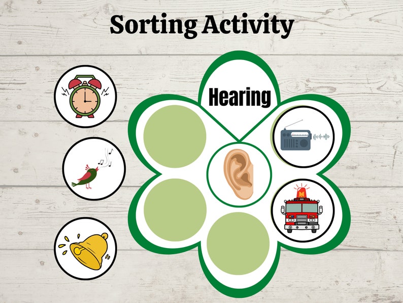 Five Senses Sorting Activity & Matching Game, 5 Senses Busy Book ...