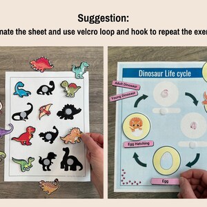 May include: A dinosaur life cycle learning activity with colorful illustrations of a dinosaur egg, hatching dinosaur, young dinosaur, and adult dinosaur. The activity includes a matching game with dinosaur silhouettes and corresponding dinosaur images.