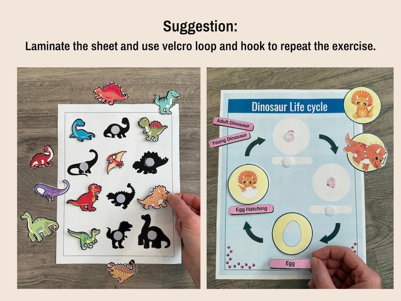 May include: A dinosaur life cycle learning activity with colorful illustrations of a dinosaur egg, hatching dinosaur, young dinosaur, and adult dinosaur. The activity includes a matching game with dinosaur silhouettes and corresponding dinosaur images.