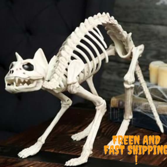 Skeleton Cat Halloween Decoration Halloween Figure Cat Gift Etsy
