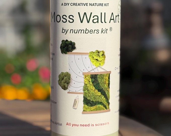 Moss Art by Numbers Kit