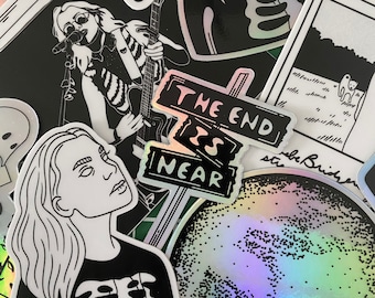 Paquete de 5 pegatinas de vinilo impermeables de Phoebe Bridgers, música independiente (normales, holográficas o mixtas)