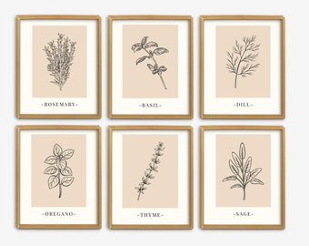 Herbs Set of 6 Line Art, Garden Herb Print, Kitchen Herbs Guide, Cooking Herbs Poster, Botanical Herbs Print, Kitchen & Dining Wall Art