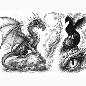 May include: Detailed black and white illustration featuring a dragon perched on a rock, with a full moon in the background. An eagle-like creature and a close-up of a dragon's eye are also depicted. Fantasy art.