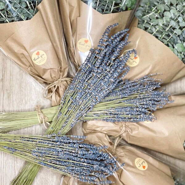 Eucalyptus Lavender Shower Bundle Etsy