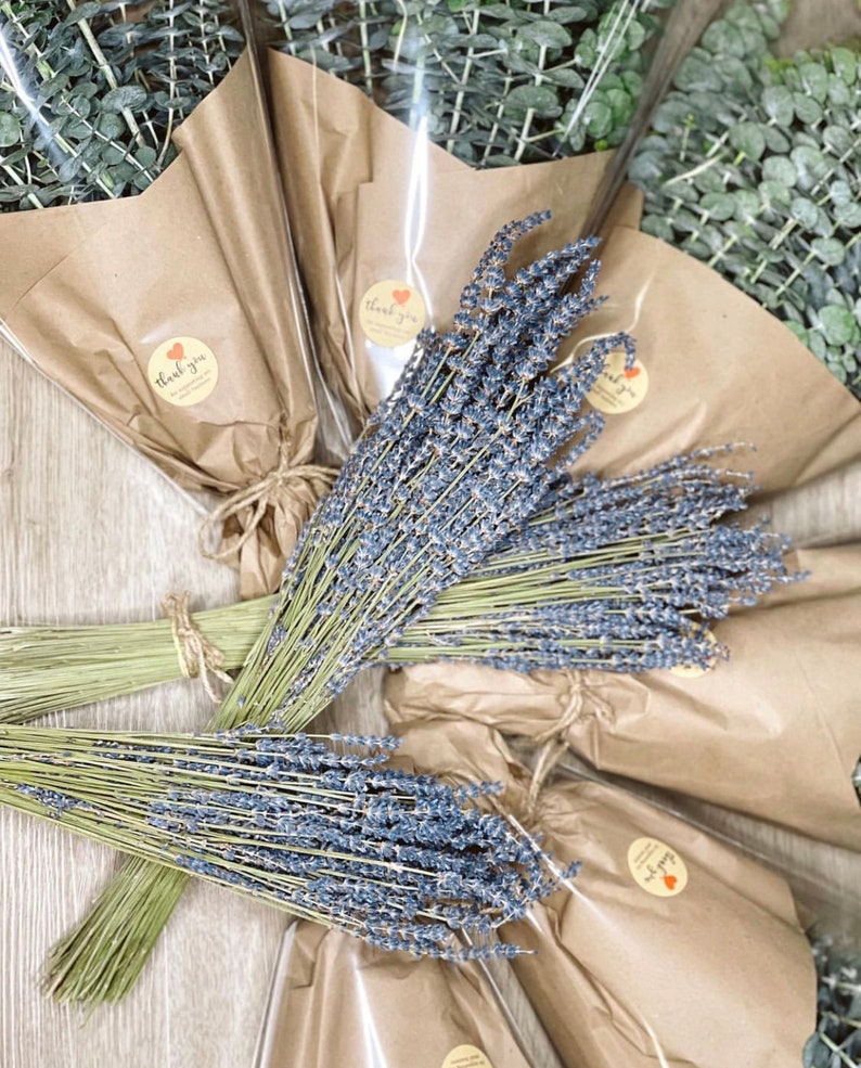 2 Eucalyptus and Lavender Fresh Eucalyptus Shower Bundle Etsy
