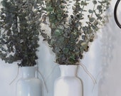 Fresh Eucalyptus Shower Bundle: Aromatherapy Decor