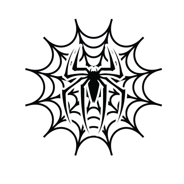 Spider and Web Digital File PNG