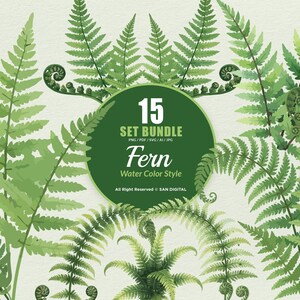 15 Bundle Watercolor Fern Leaf Botanical Aesthetic Tropical Forest Greenery Clipart Digital File Transparent Eps / Svg / Png illustration