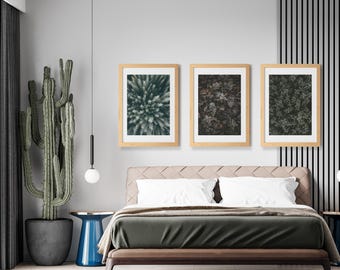 Collection of Six Botanical Wall Art Prints Featuring Forest Nature and Leaves Textures (Digital Download)