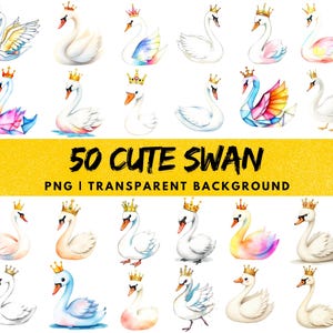50 aquarela cisne usando uma coroa png, ilustração de rei e rainha cisne clipart, arte de cisne infantil de pássaro fofo, convite de decoração para sublimação de criança