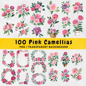 100 Watercolor Pink Camellias PNG,  floral camellia, flowers Clipart, bouquets, Wreath, border, Element, commercial use, sublimation