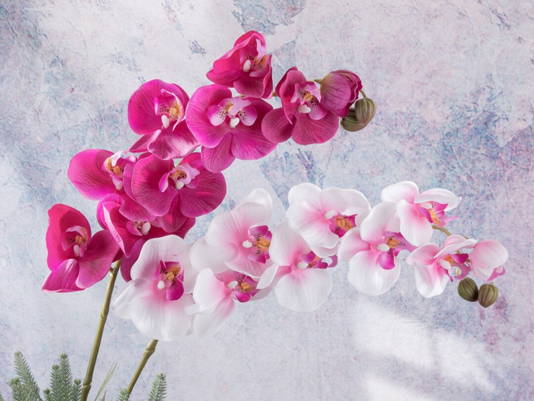 Real Touch Artificial Phalaenopsis Stem Fake Flower Craft Etsy