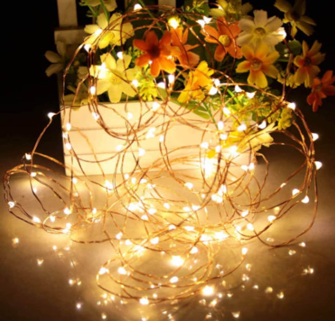 Fairy Lights Twinkling Lights Décor Lights Led Fairy Lights Etsy