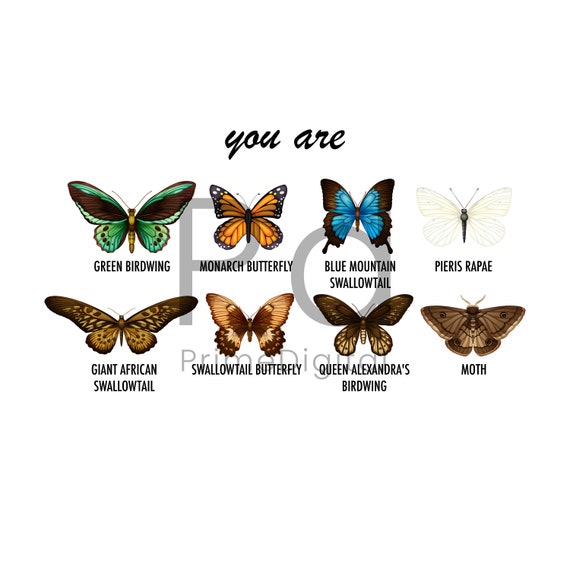 Butterfly Bible Verse PNG Inspiration Bible Butterfly Shirt Etsy