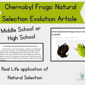 May include: Educational graphic about Chernobyl frogs and natural selection. The image includes text: "Chernobyl Frogs: Natural Selection Evolution Article" and "Middle School or High School". It also shows a black frog and a green frog.