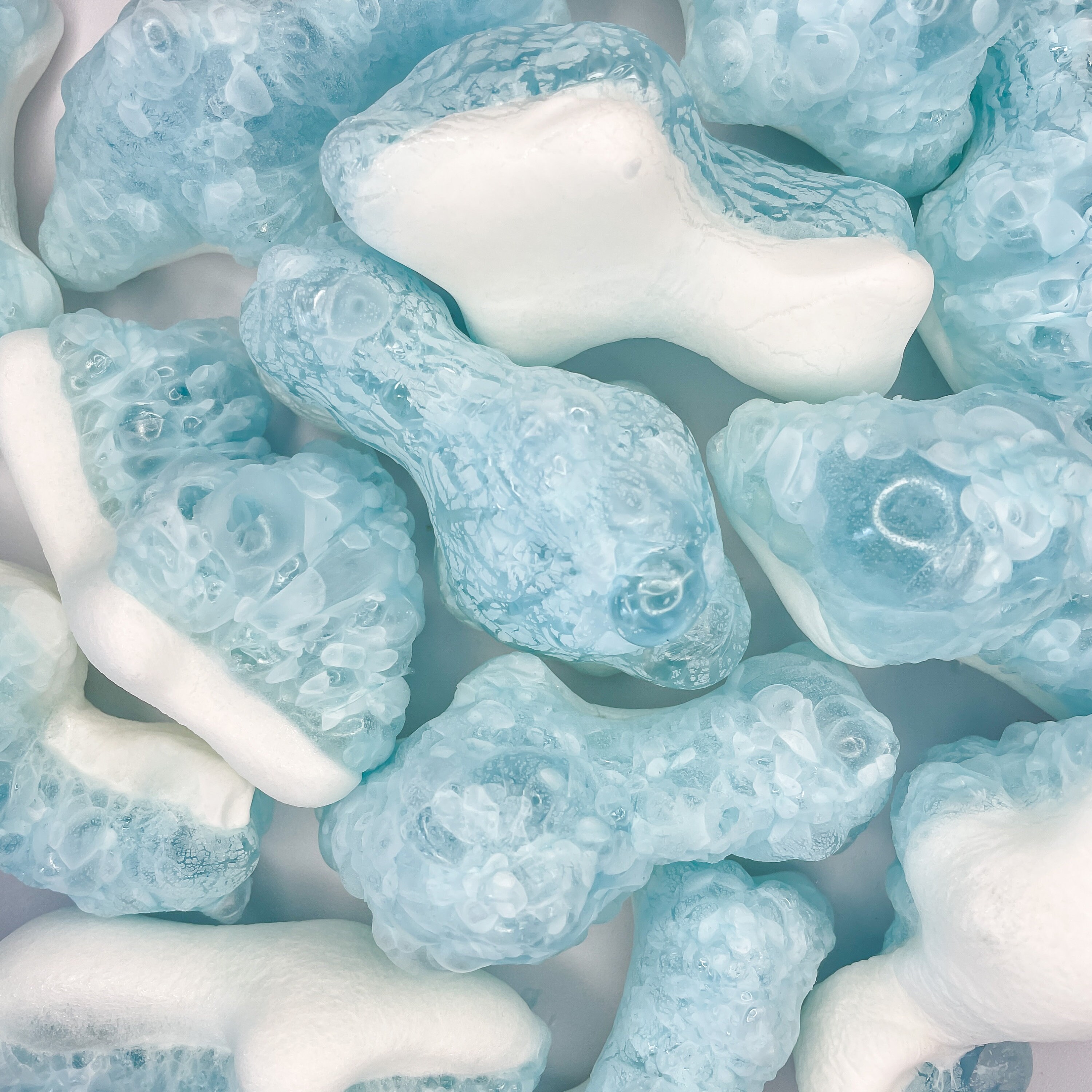 Freeze Dried Gummy Sampler Pack Freeze Dried Candy Variety Etsy