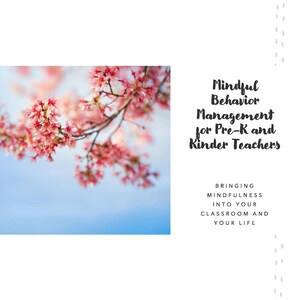 eBook: Mindful Trauma-Informed Behavior Management for Pre-School and Kinder Teachers