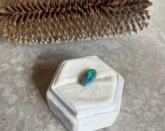 May include: A small, oval-shaped opal gemstone with iridescent blue and green flashes, set in a white velvet hexagonal box. The gemstone is displayed against a neutral background, with a dried plant element in the upper portion of the image.